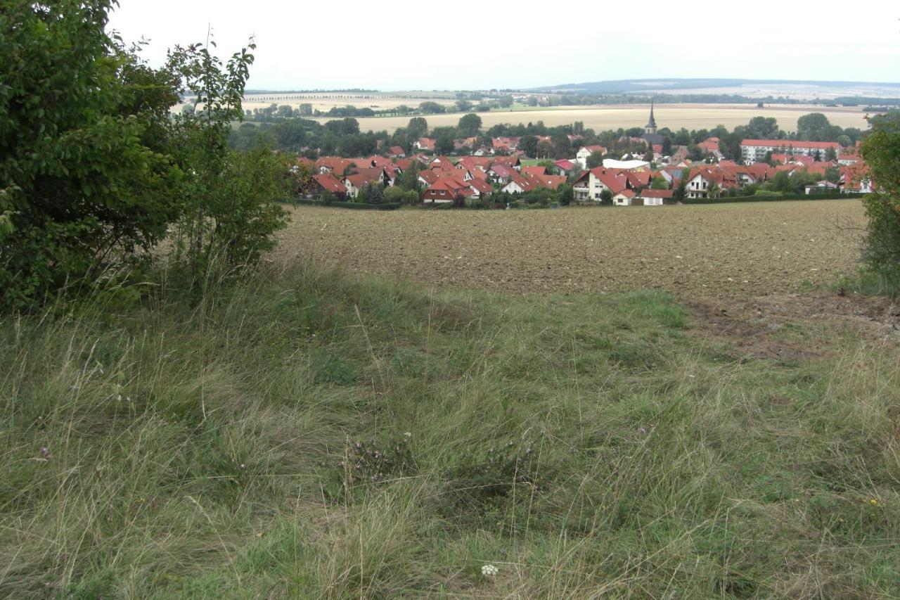 Appartement Am Goldberg Goldbach  Bagian luar foto