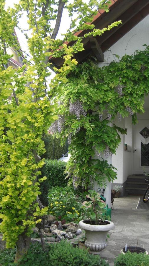 Appartement Am Goldberg Goldbach  Bagian luar foto